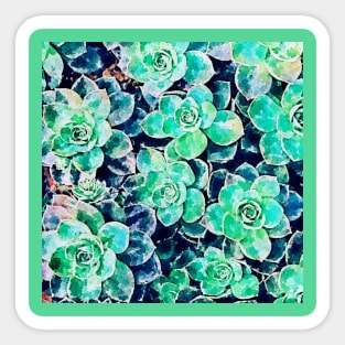 Succulent watercolor Sticker